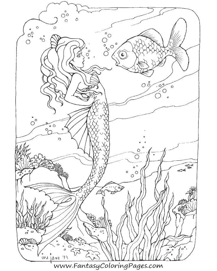 Coloring A mermaid and fish. Category Fantasy. Tags:  fantasy, mermaid, girl, fish.