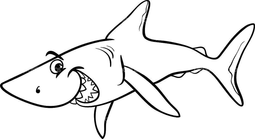 Coloring Happy shark. Category marine. Tags:  Underwater, fish, shark.