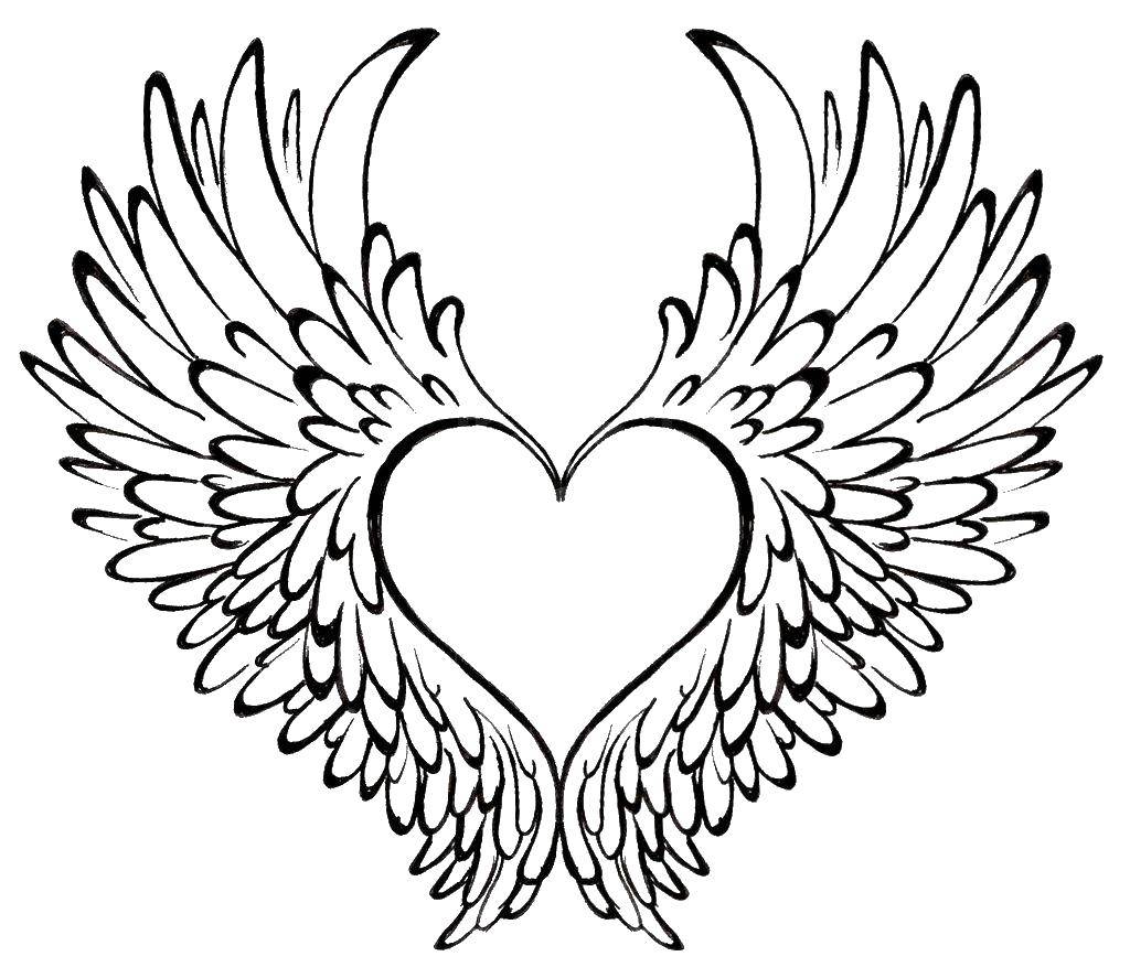 Название: Раскраска Сердце в перьях. Категория: раскраски. Теги: крылья, перья, сердце.