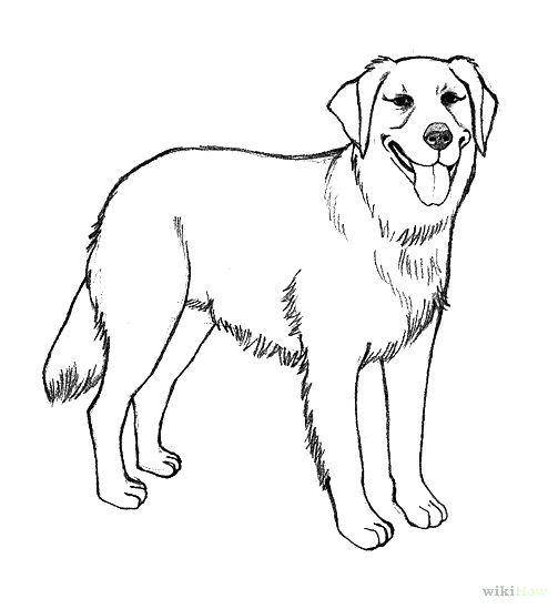 Название: Раскраска Собачка с высунутым языком. Категория: Животные. Теги: животные, собака, щенок, пес.