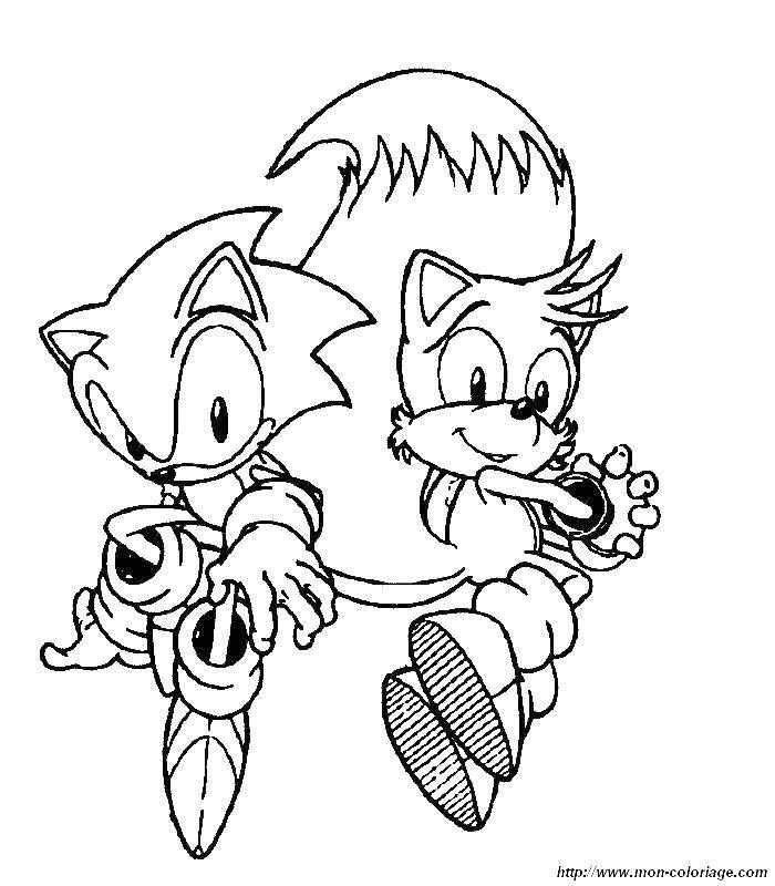 Coloring Sonic and miles. Category cartoons. Tags:  cartoons, sonic X, miles.