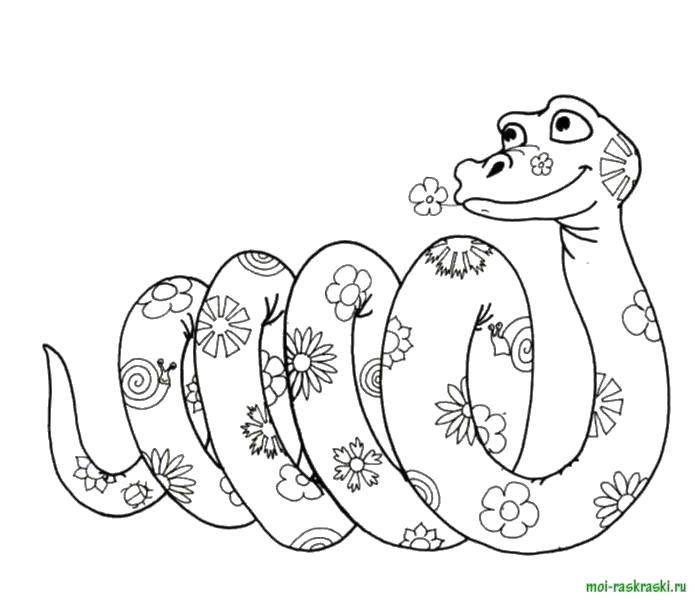 Название: Раскраска Цветочная змея. Категория: змея. Теги: Рептилия, змея.