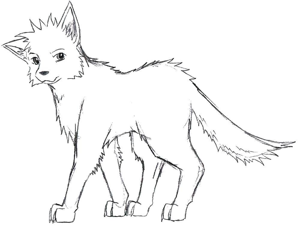 Coloring Ruffled top. Category Animals. Tags:  Animals, wolf.