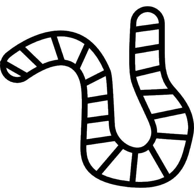 Coloring Earthworm. Category Insects. Tags:  Insects, worm.
