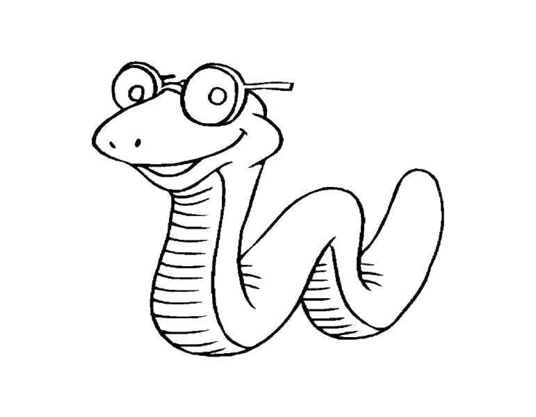 Coloring Snake with glasses. Category the snake. Tags:  Reptile, snake.