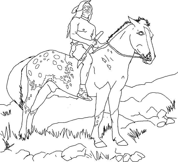 Розмальовки  Індіанець на коні. Завантажити розмальовку народи, індіанці, коні.  Роздрукувати ,індійці,