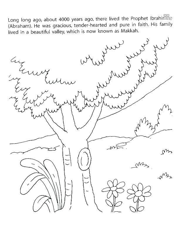 Название: Раскраска Дерево с гнездом. Категория: дерево. Теги: дерево.