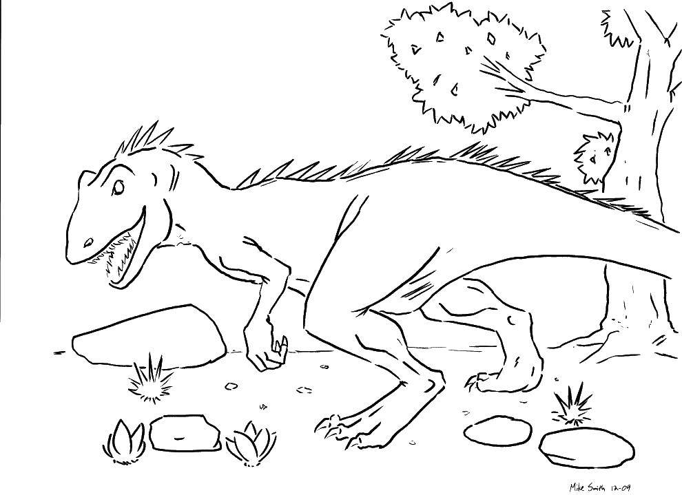 Название: Раскраска Динозавр ест траву. Категория: динозавр. Теги: Динозавры.