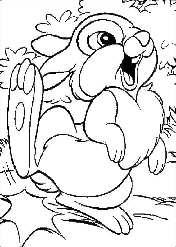 Название: Раскраска Диснеевский кролик. Категория: кролик. Теги: Диснеевские мультфильмы, животные, кролики.