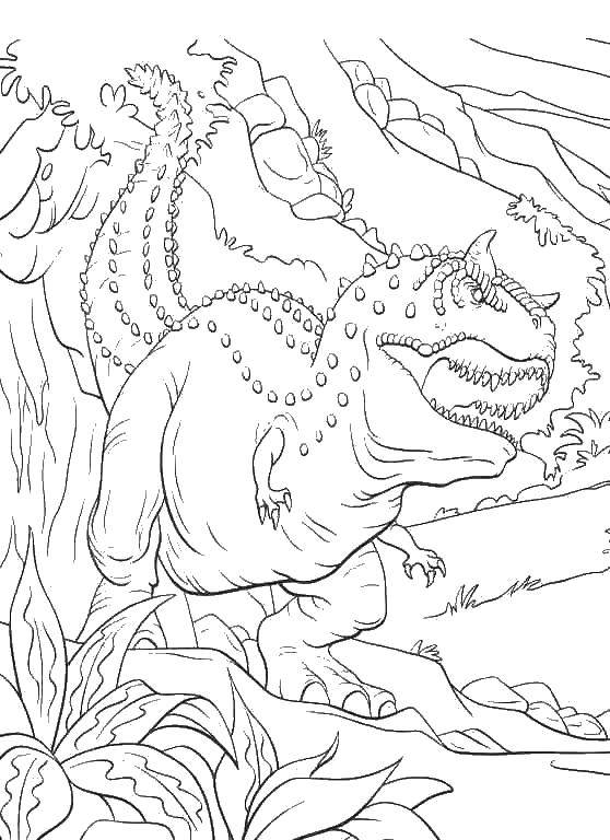 Раскраски Раскраска Карнотавр динозавр динозавр, скачать распечатать  раскраски.