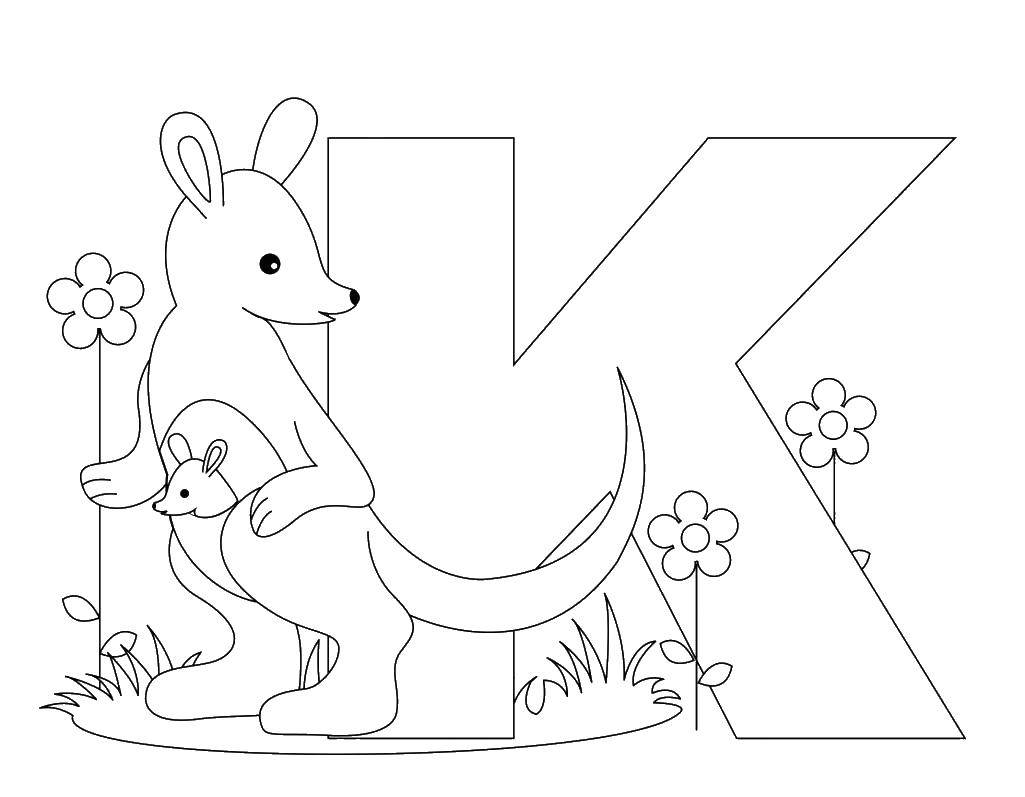 Название: Раскраска Кенгуру. Категория: Животные. Теги: кенгуру.