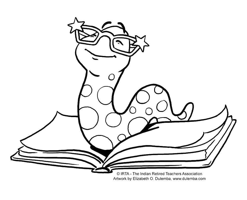 Coloring Bookworm. Category books. Tags:  book worm.