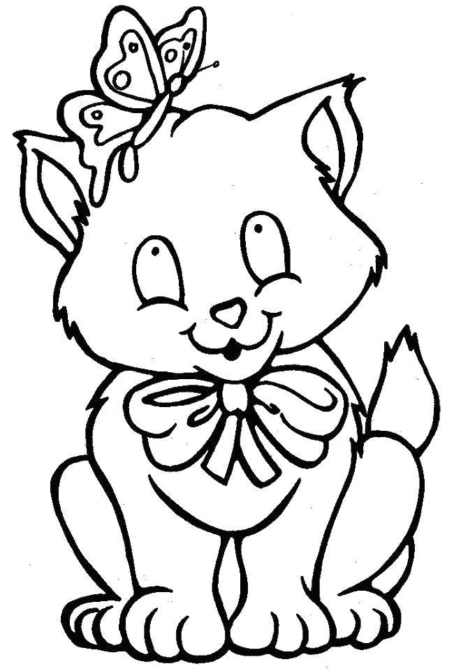 Coloring Kitty with a bow. Category seals. Tags:  seals, butterflies.