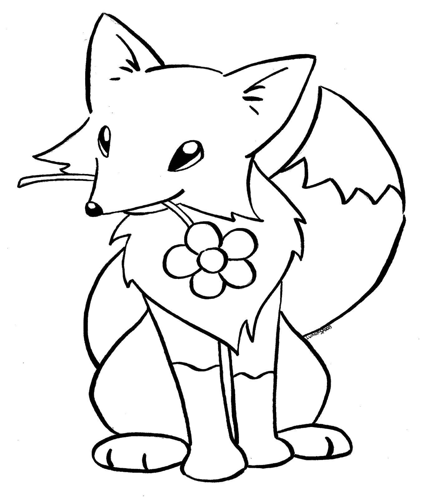 Coloring Fox with a flower. Category Animals. Tags:  animals, Fox, foxy, flower.