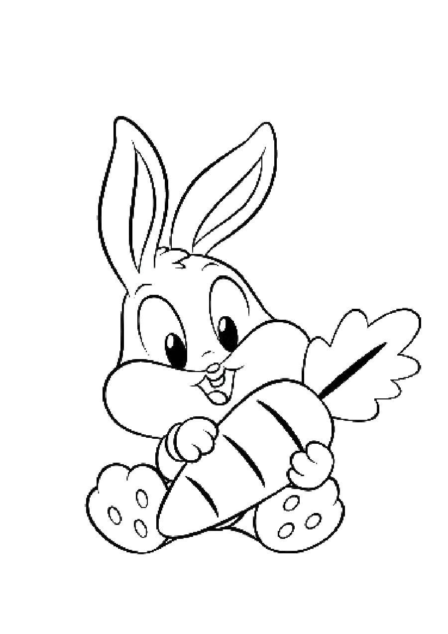 Название: Раскраска Маленький зайка с морковкой. Категория: кролик. Теги: кролик, заяц, морковка.