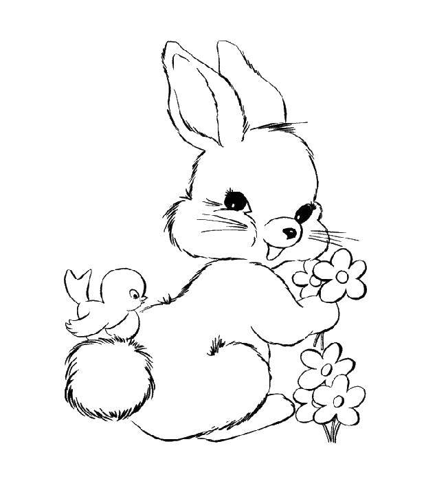 Название: Раскраска Птенчик на хвосте кролика. Категория: кролик. Теги: Животные, зайчик.