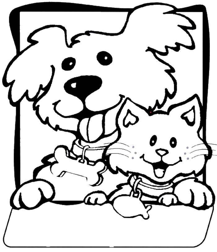Название: Раскраска Щеночек и котенок. Категория: Животные. Теги: животные, собачка, щенок, котенок.
