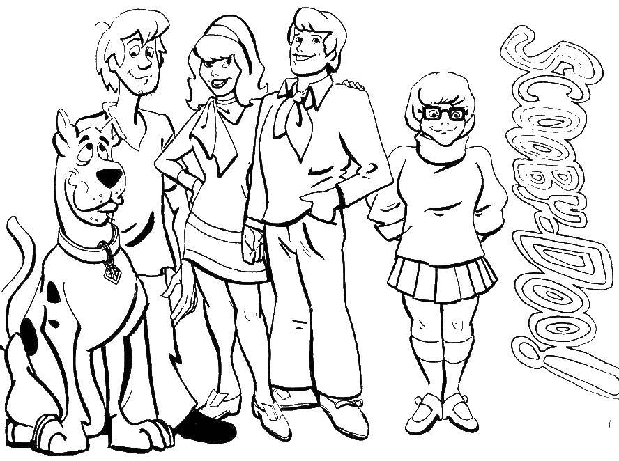 Coloring Scooby Doo team. Category Scooby Doo. Tags:  Scooby Doo, Shaggy.