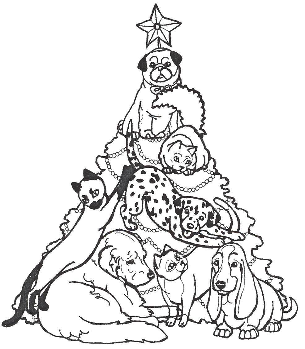 Название: Раскраска Собачки и кошечки на елке. Категория: рождество. Теги: Рождество, елка, Новый год, звери.