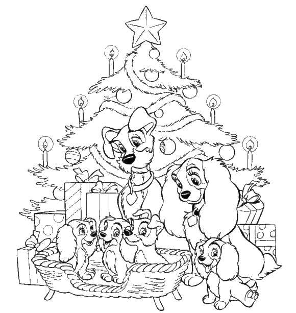 Название: Раскраска Собачки у елки. Категория: рождество. Теги: рождество, елки, собачки, животные.