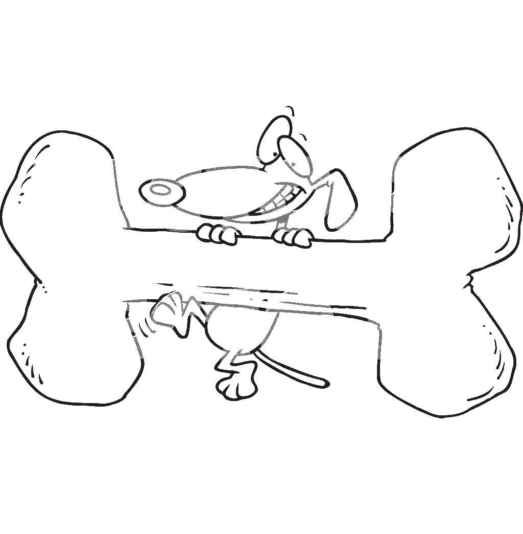 Coloring Dog with a big bone. Category the dog. Tags:  the dog bone.