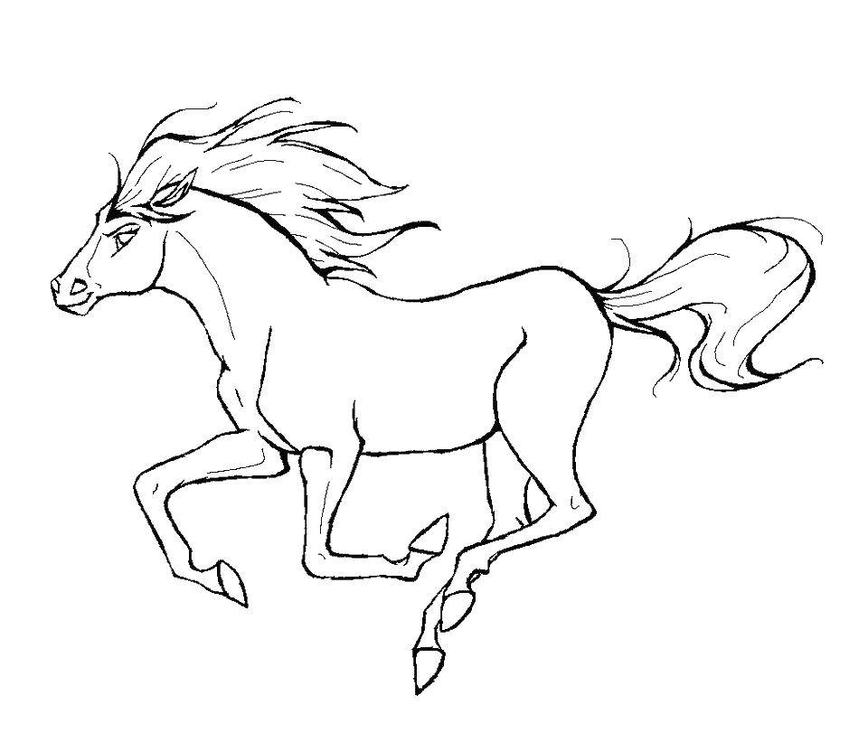 Название: Раскраска Спирит лошадка. Категория: лошади. Теги: лошадь, спирит.