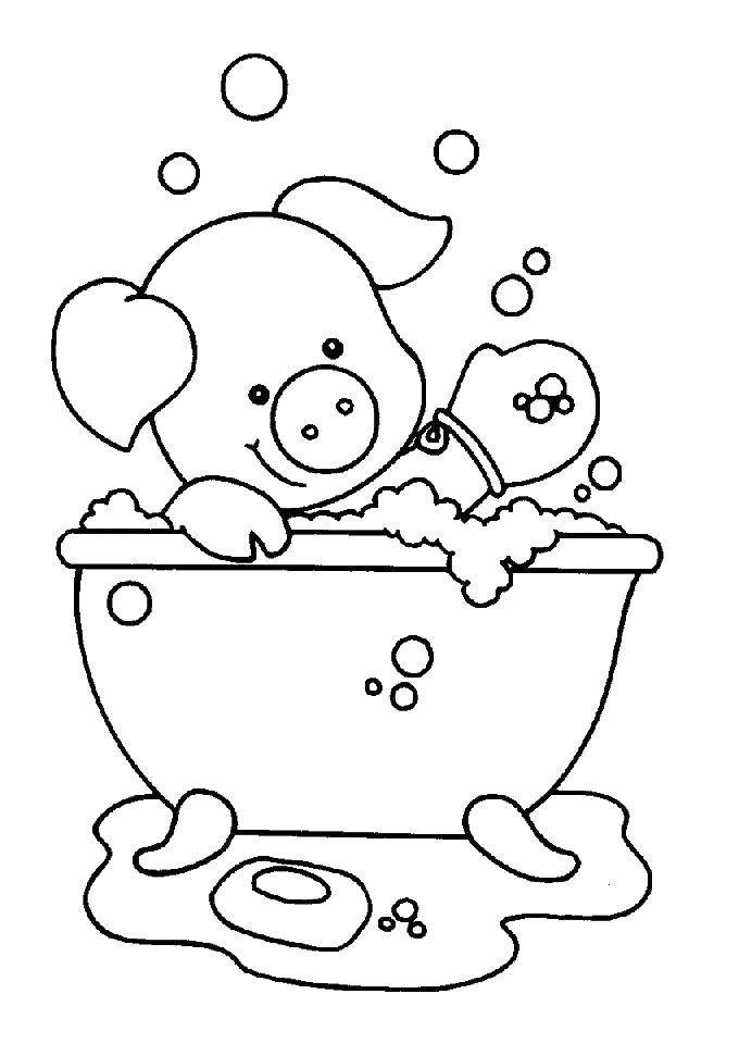 Название: Раскраска Свинка купается. Категория: Ванная комната. Теги: ванна, ванная комната, свинка.