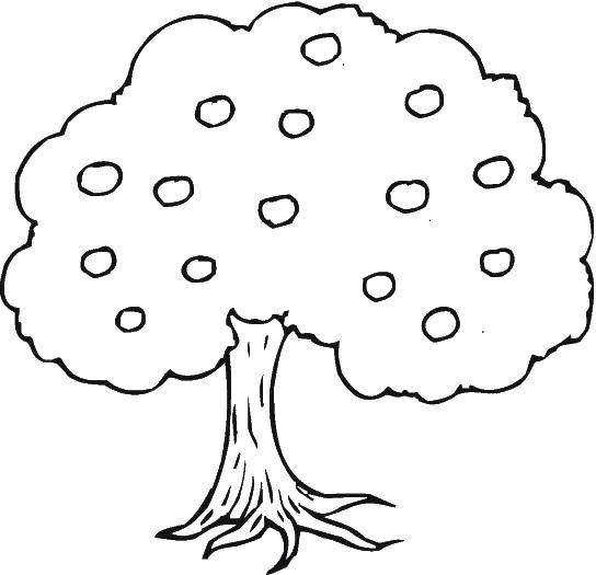 Название: Раскраска Яблонька. Категория: дерево. Теги: дерево, яблоня, растения.