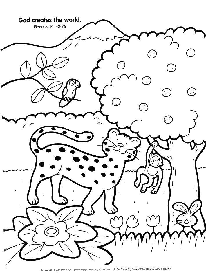 Coloring Animals. Category Nature. Tags:  nature, animals, animals.