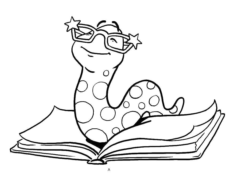 Coloring The snake is reading a book. Category the Bible. Tags:  snake, book.