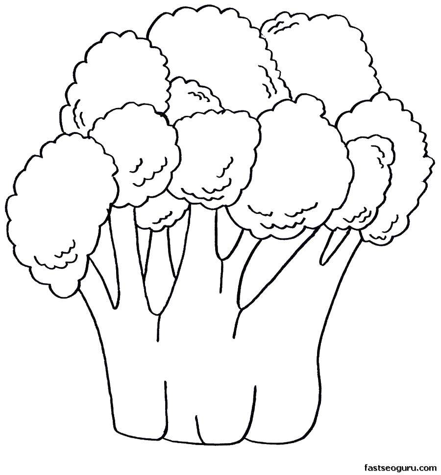 Coloring Broccoli.. Category Vegetables. Tags:  vegetables, broccoli.