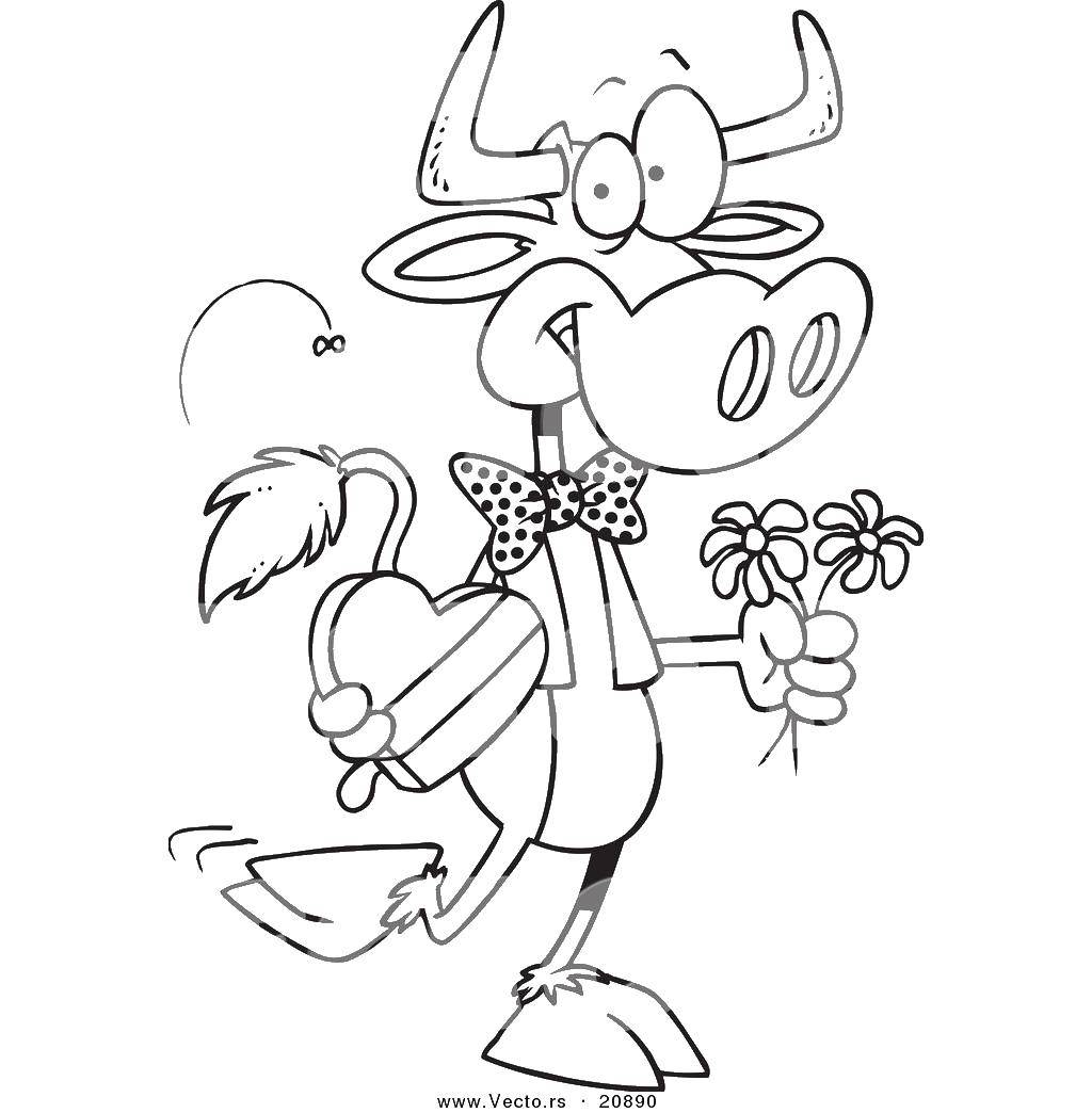 Coloring Bull in love. Category Valentines day. Tags:  Valentines day, love, heart.