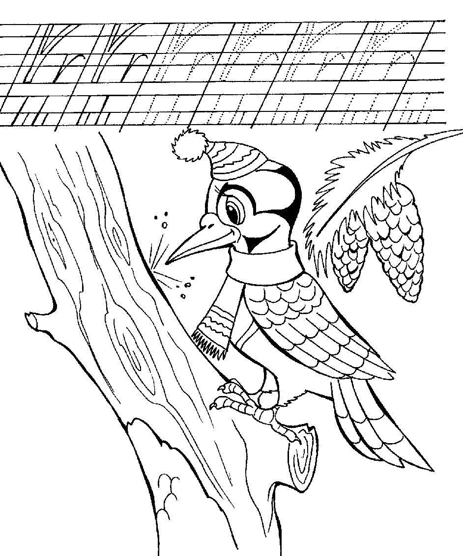 Coloring A woodpecker knocks on a tree with pine cones. Category tracing. Tags:  Woodpecker, tree, forest, pine cone.