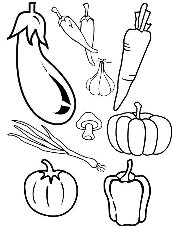 Coloring Mushroom and vegetables. Category Vegetables. Tags:  Vegetables.