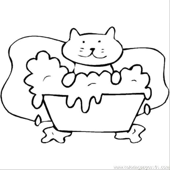 Название: Раскраска Кошечка в ванной. Категория: Ванная комната. Теги: ванна, кошки, кошки.