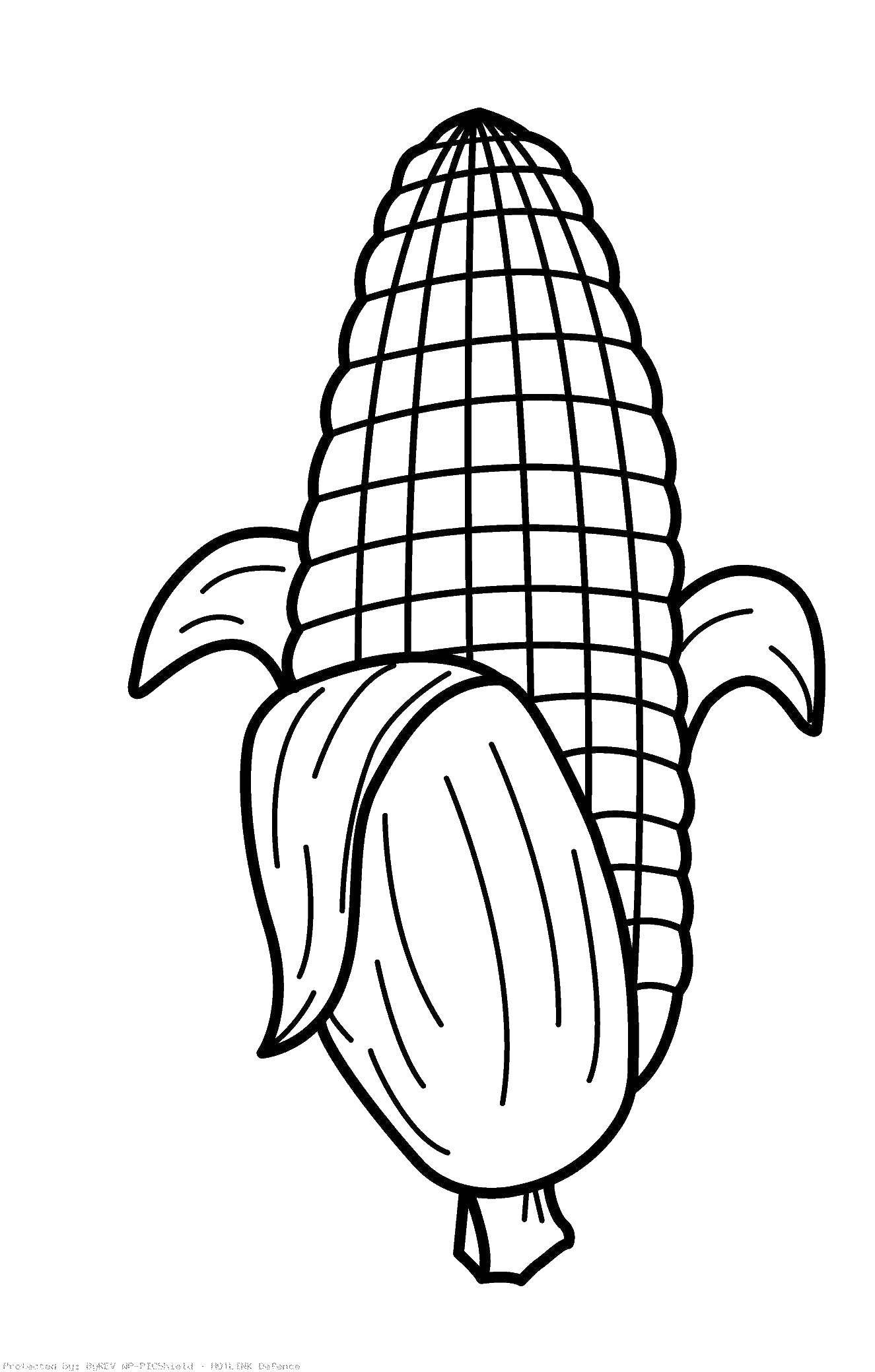 Название: Раскраска Кукурузка. Категория: Овощи. Теги: овощи, кукуруза, еда.