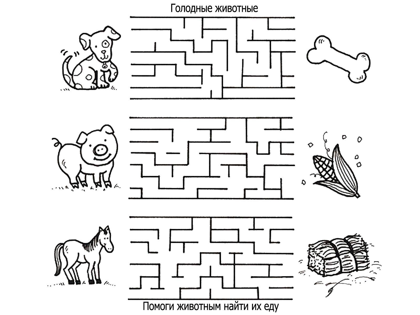 Coloring Maze the animals want to eat. Category the labyrinth. Tags:  the labyrinth.