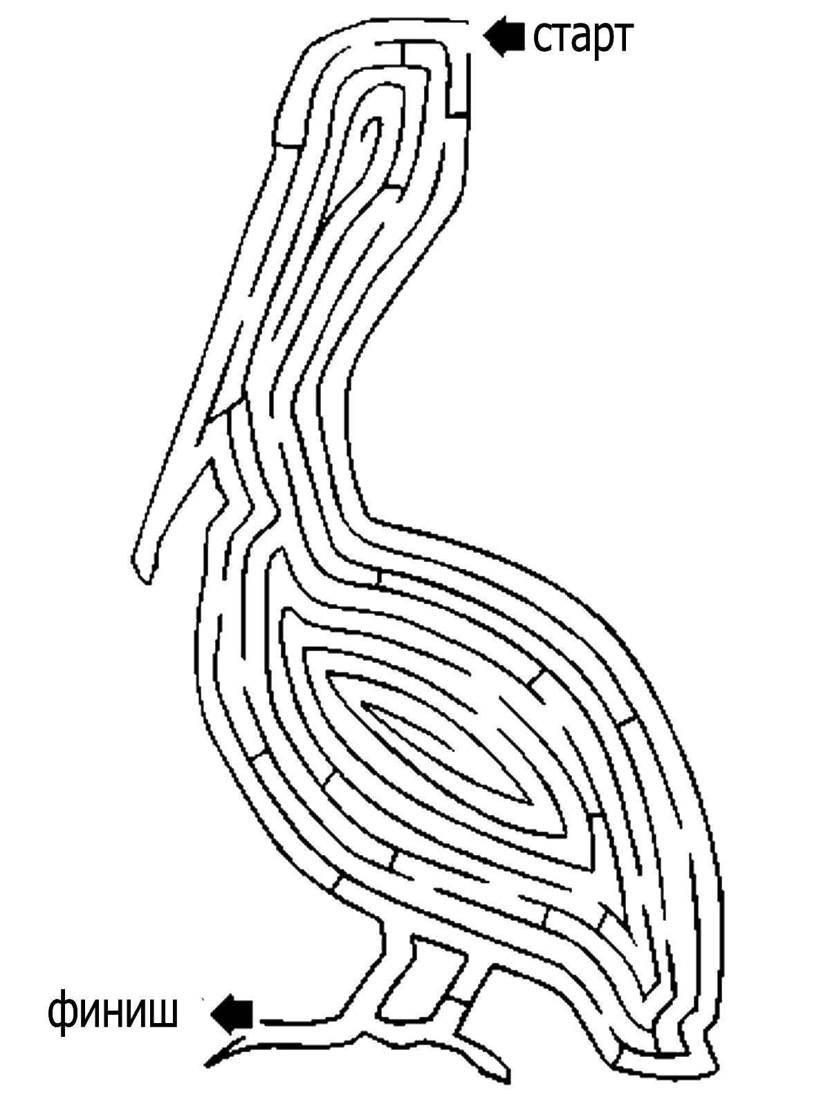 Coloring Maze. Category the labyrinth. Tags:  the labyrinth.