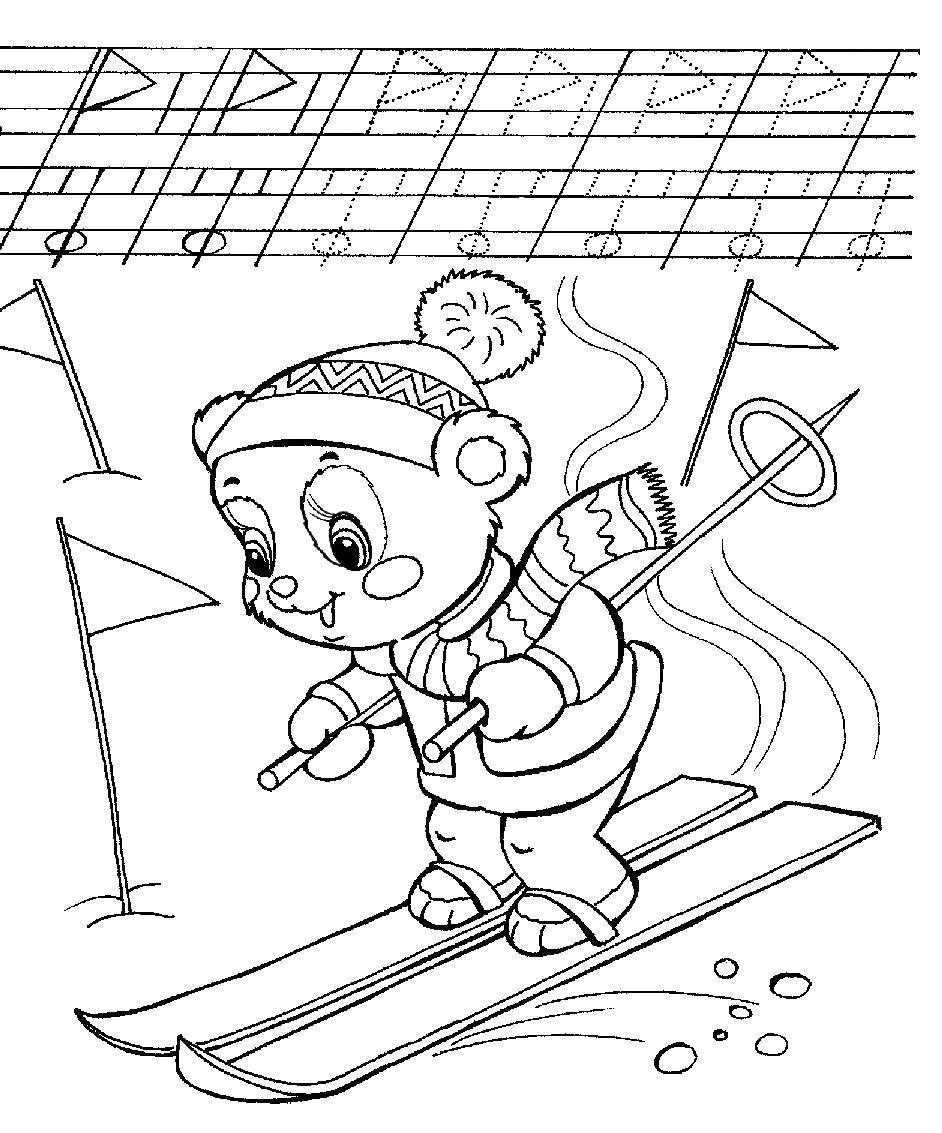 Coloring Bear on skis. Category tracing. Tags:  Skiing, bear, box.
