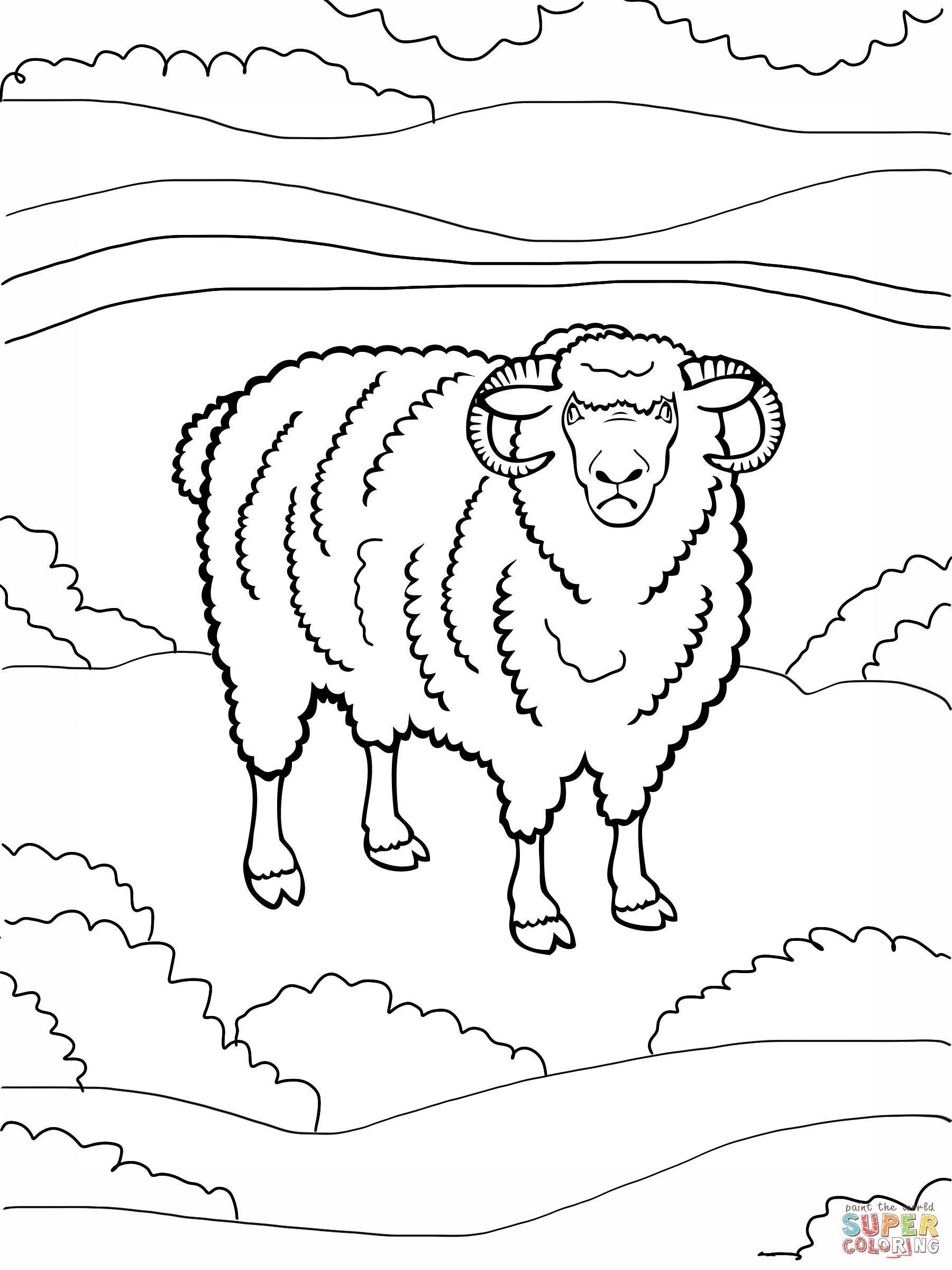Название: Раскраска Рисунок рогатого барана на лугу. Категория: домашние животные. Теги: баран, овцы.