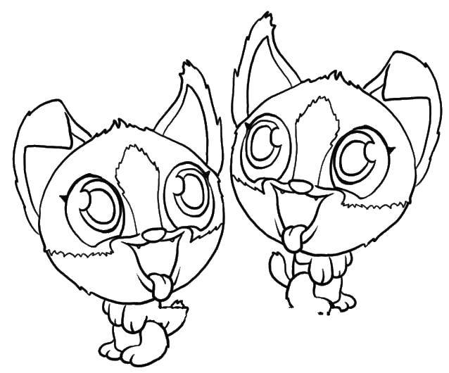 Coloring Funny kittens. Category Animals. Tags:  Animals, kitten.