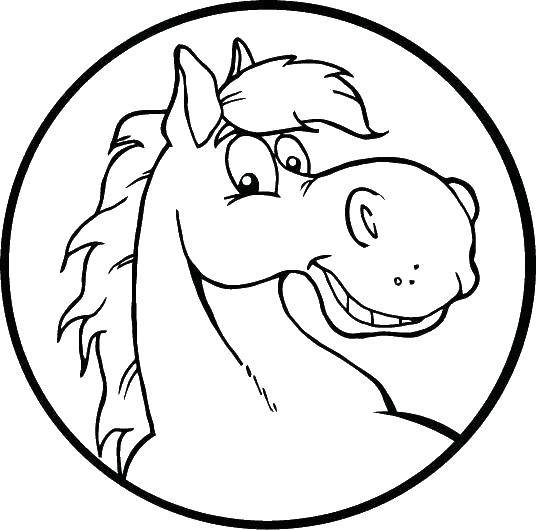 Coloring Smiling horse. Category Animals. Tags:  Animals, horse.