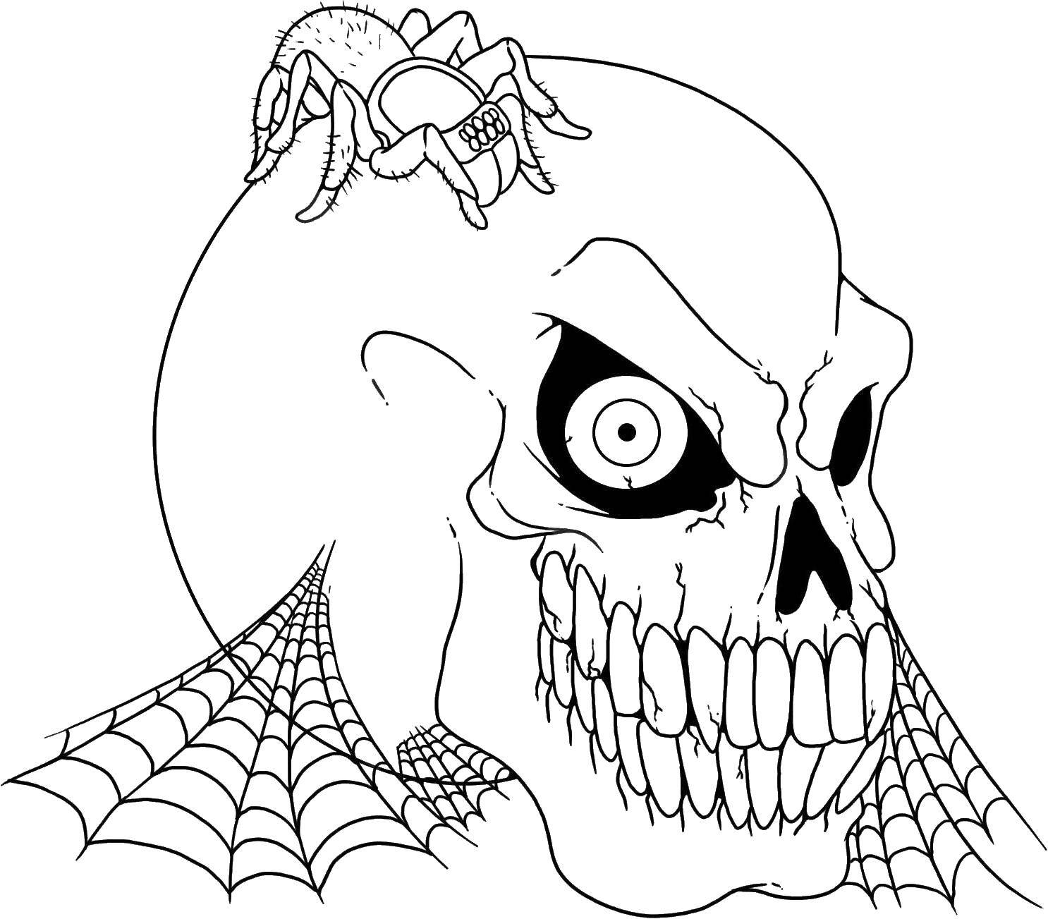 Розмальовки  Череп в павутині і з павуком. Завантажити розмальовку черепи, павуки, павутина.  Роздрукувати ,череп,