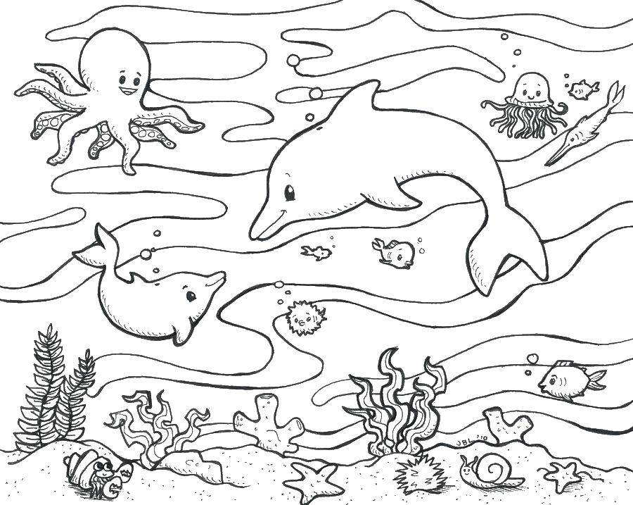 Розмальовки  Дружні підводні товариші. Завантажити розмальовку Підводний світ.  Роздрукувати ,Океан,