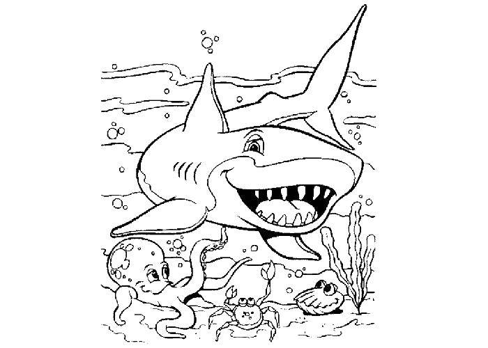 Coloring Shark and other sea inhabitants. Category The ocean. Tags:  ocean, sea, shark.