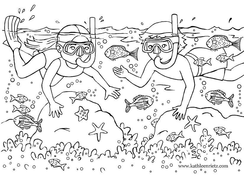 Название: Раскраска Аквалангисты смотрят на рыбок. Категория: морское. Теги: Подводный мир, рыба.