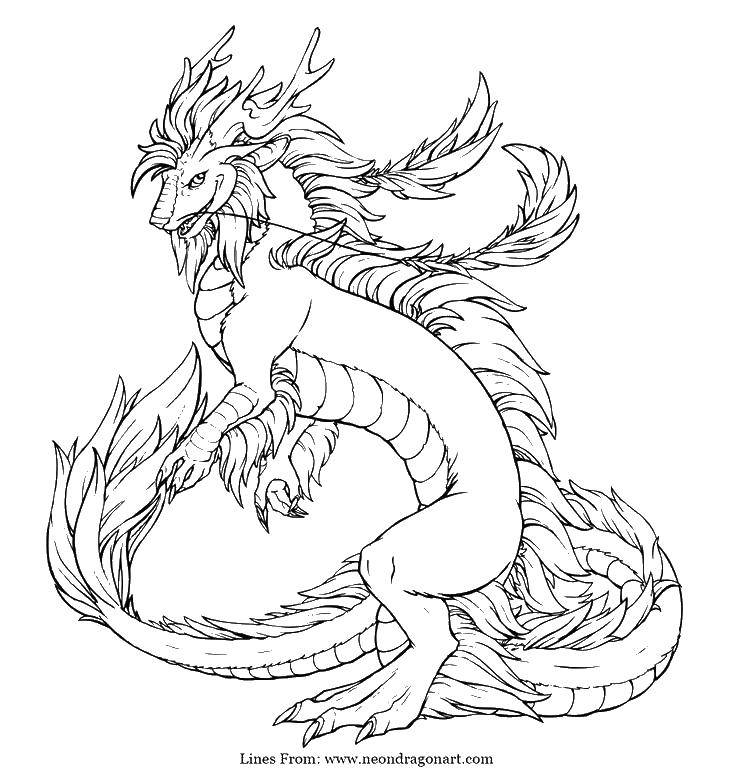 Coloring Dragon mane. Category Dragons. Tags:  dragons, dragon.