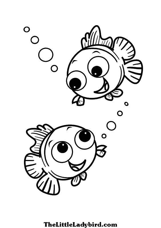 Название: Раскраска Дружные малыши рыбки. Категория: рыбы. Теги: Подводный мир, рыба.