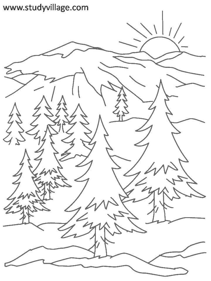Coloring Pines in the mountains. Category Nature. Tags:  nature, forest, ate, mountains.