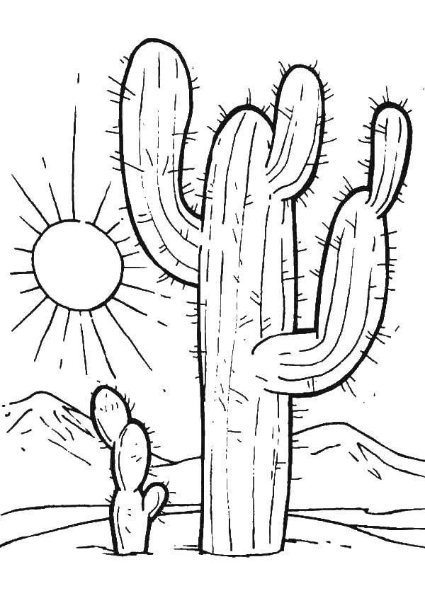 Название: Раскраска Кактусы в пустыне. Категория: Пустыня. Теги: пустыня, кактусы, солнце.